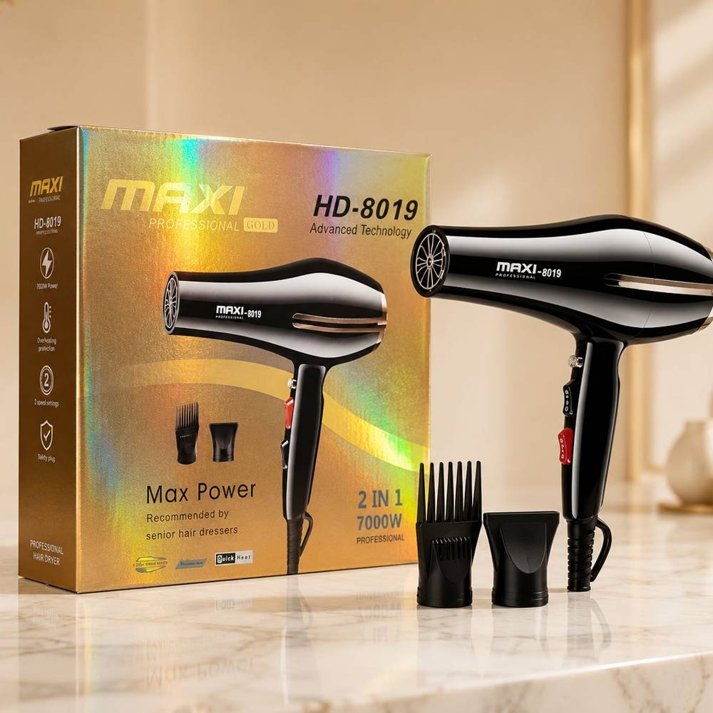 Sèche-Cheveux Professionnel MAXI 8019