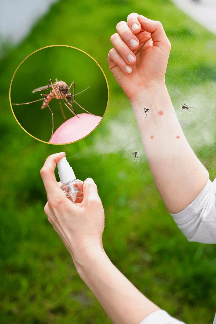 Insectes & protection